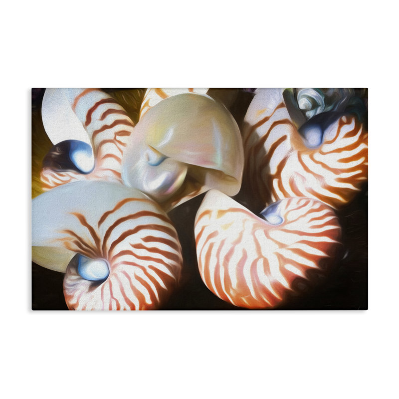  «Nautilus Shells Cluster», art mural par Graffi *ee Studios, H 16 po x l 24 po