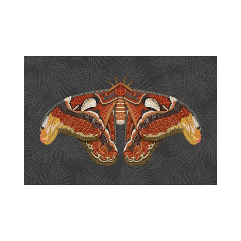 Atlas Moth - Dark by Angelika Parker - Wrapped Canvas Print, 101.6 cm H x 66.04 cm W x 3.175 cm D