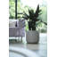 Pure Beads Pot Planter-48811441-48811439