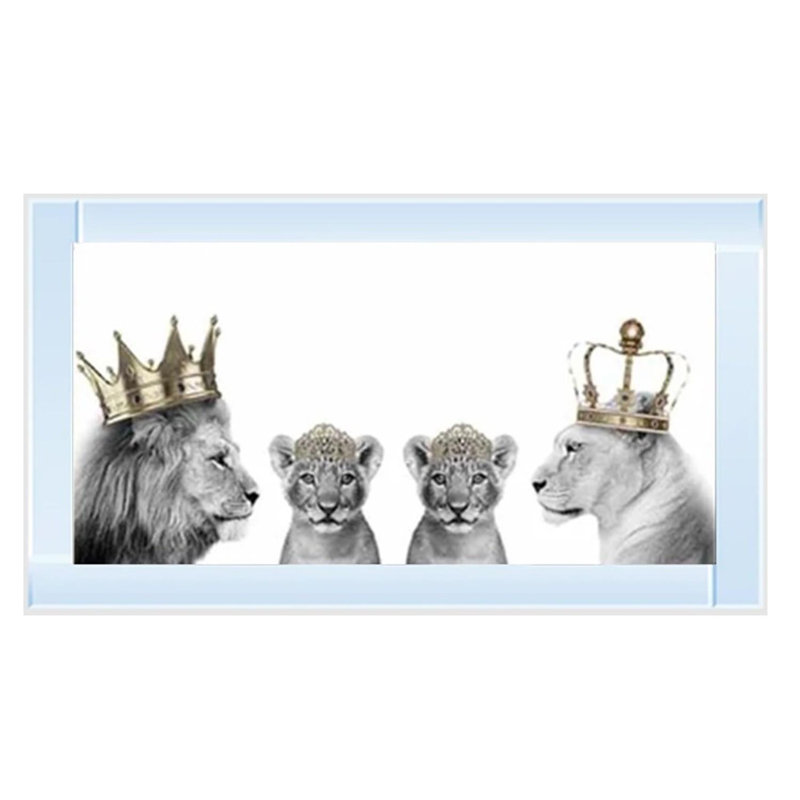 Mirror Frame Print on Canvas