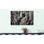 Stretched On Wooden Frame Print on Canvas-474860698