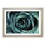 A Teal Rose in Abstract - Framed Print-55457576-55457577
