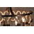 Belmont 6 LT Florence Gold Chandelier Kalco