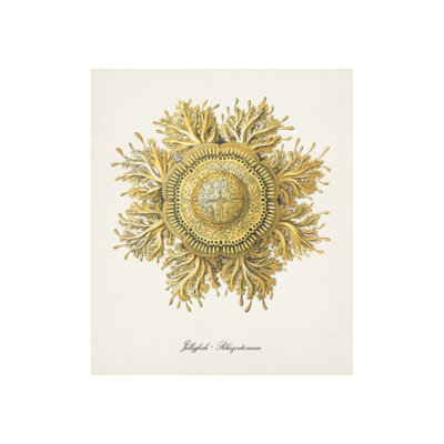 Nautical Art II Print by Sofia Fox