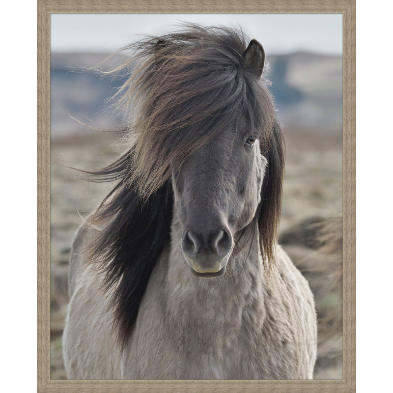 Gray Mane Print by Lillian August