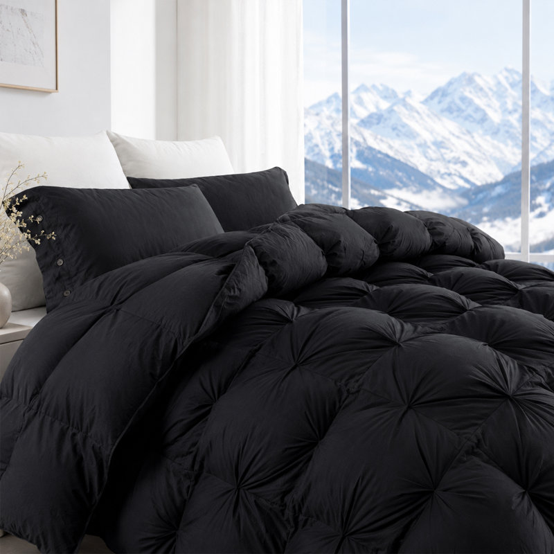 Insertion de couette toutes saisons en plumes d'oie plissées et en duvet d'oie douce, 90 x 90 pouces, noir, Black, Queen
