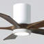 Ventilateur de plafond à 5 pales DEL avec ensemble d'éclairage inclus Irene-264797997-190434782-190528865