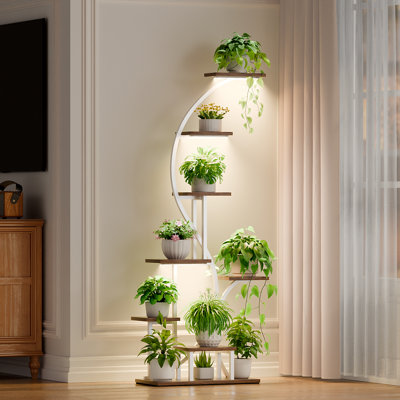 65 po de hauteur pour plantes d'intérieur à plusieurs niveaux, avec 8 niveaux de plantes d'intérieur