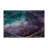 Lush Dream Indoor And Outdoor Area Rug-282077463