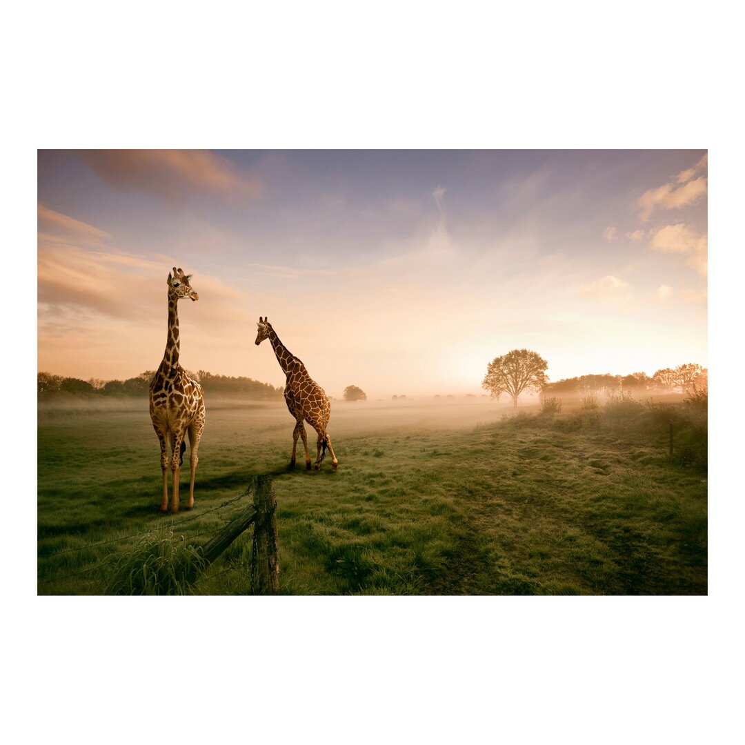 Seidenmatte Tapete Surreal Giraffes