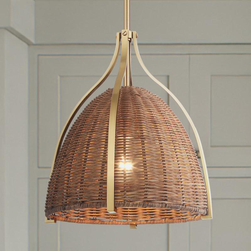 Hunter Arcelia 1 Light Pendant Ceiling Light Fixture
