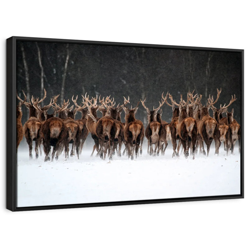 Deer Escape Canvas Print, 29" H x 43" W