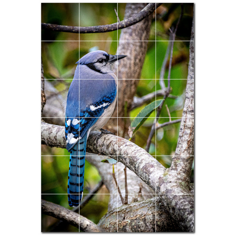 Murale en céramique satinée Bird Photo 8 po x 8 po