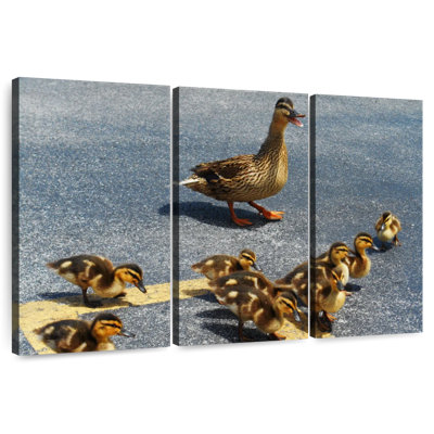 Canetons et mère canard