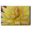 Toile tendue Blooms I-Gallery-852498184