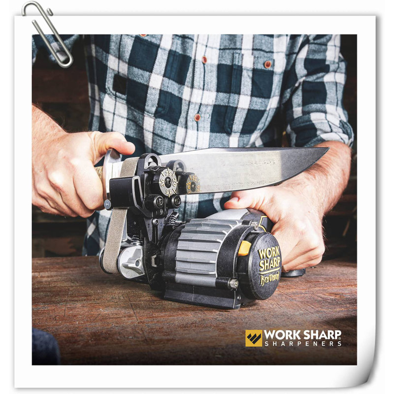 GLOBAL GIRLS LLC Electric Knife Sharpener