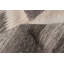 Ankara FW Grey Kilim 5'4" x 8'1"