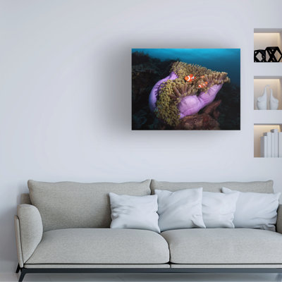 Art sur toile Marco Fierli