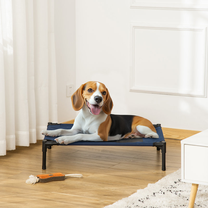 Boggs Elevated Dog Bed/Pet Cot