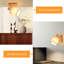 Spotlight
