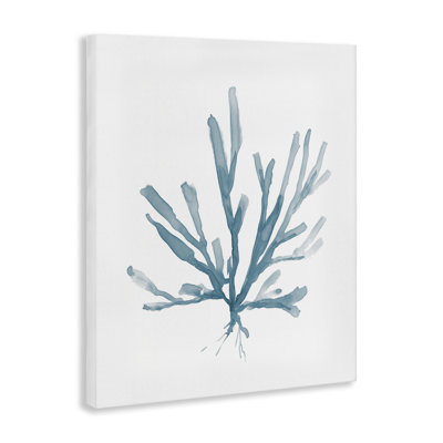 «Minimal Coral Tendrils», art mural par Carol Robinson