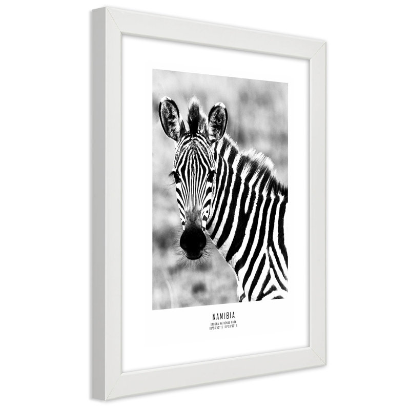 Zebra Animals Nature - Single Picture Frame Print, 30cm H x 20cm W, White