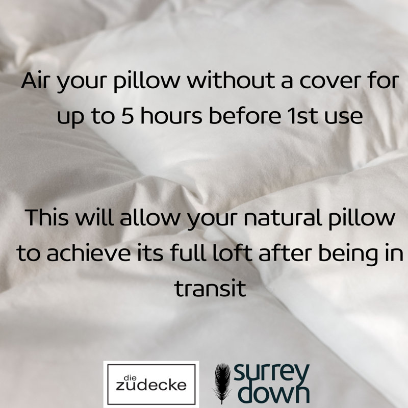 Hungarian Goose Feather & Down Pillow Pair