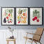 «Garden Offrant I», ensemble de 3 reproductions de cadres photo-69879312-69879317