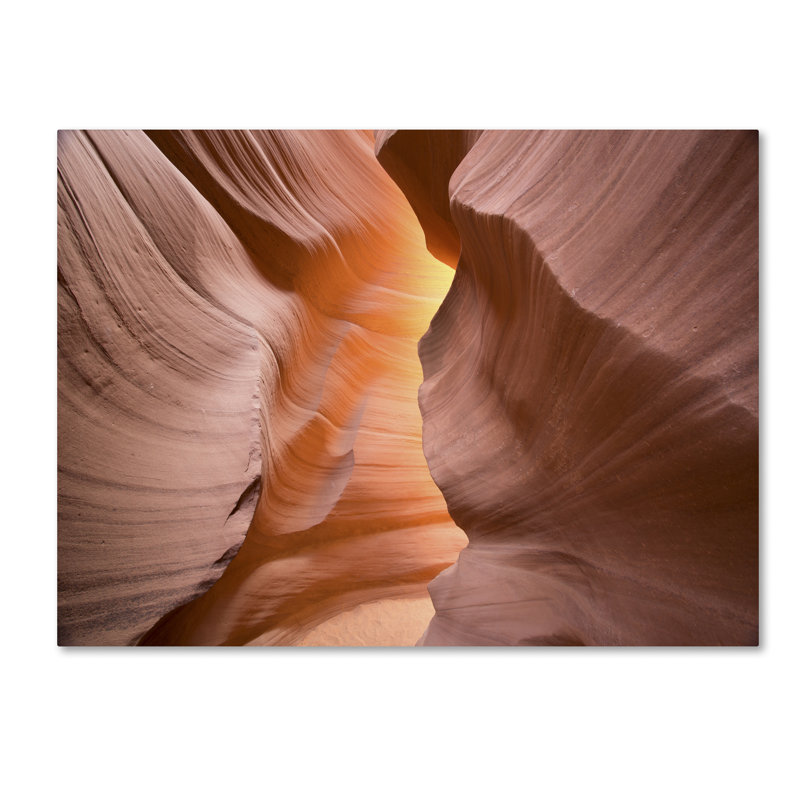 Moises Levy Arizona Desert Sunlight Landscape Canvas Print