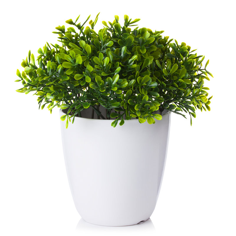 Eucalyptus artificiel 8 po en pot