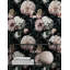 Moody Dahlia & Peony, papier peint mural amovible de style rétro chic pour des intérieurs dramatiques