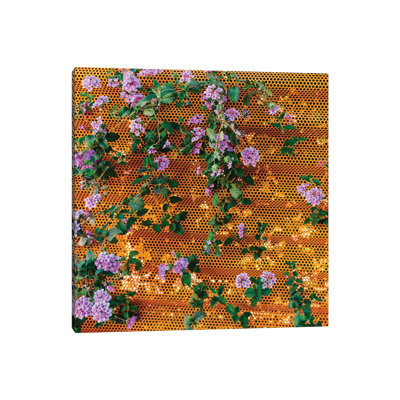 Palm Springs Blooms II by Bethany Young - Print on Canvas