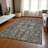 Myda Washable Oriental Indoor / Outdoor Rug-568591081