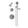 Elm HydroMersion Five Mode Shower Trim with Three Mode Hand Shower