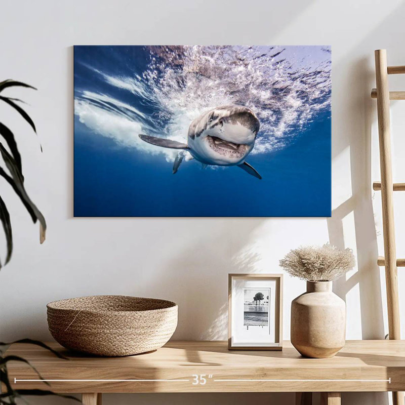 Brampt Happy Shark, 16'' H x 24'' W