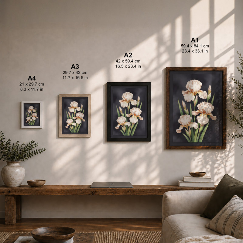 Three Pale Iris Botanical - Framed Print, A2 - 59.4 x 42.0 cm, Unframed