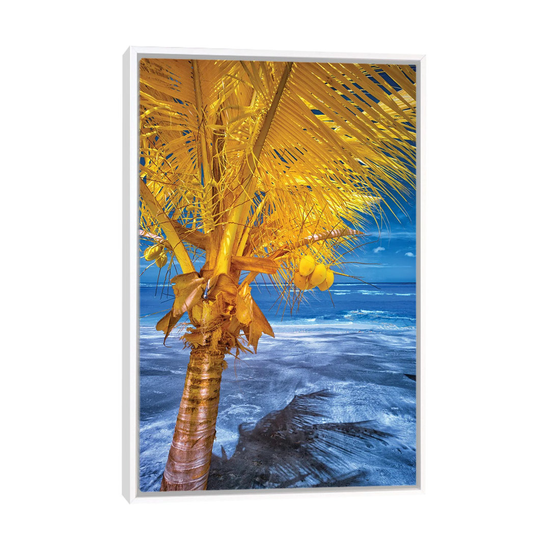 The Lizard On Tropical Palm Tree #1 by Glauco Meneghelli - Floater Frame Print on Canvas