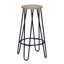 Laisha Counter Stool with Metal Frame-903937373