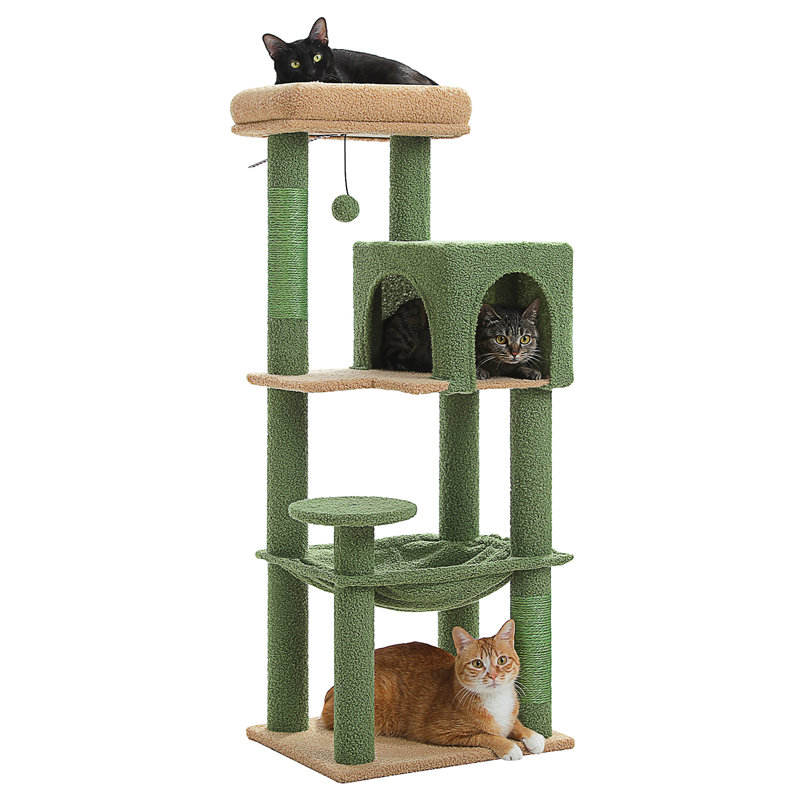 Arbre à chat, Vert