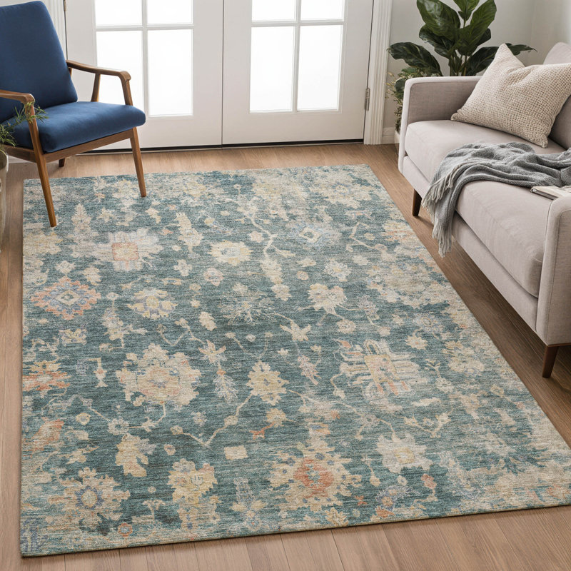 Machine Washable Indoor/Outdoor Francky ACN2355 Traditional Rug, Rectangle 10' x 14'