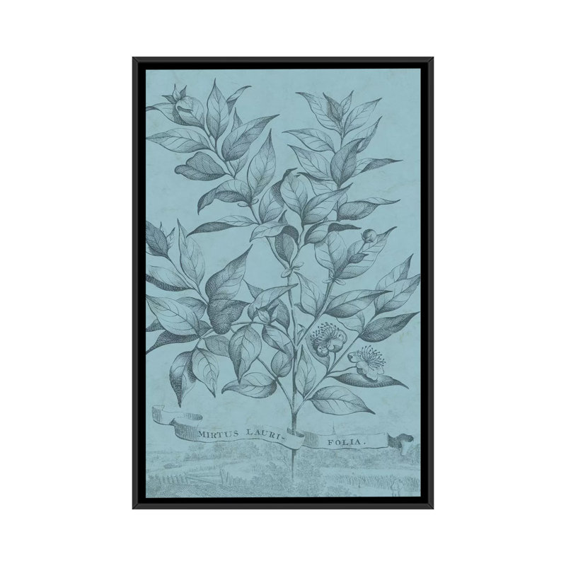 «Botanical on Teal I», impression sur toile, H 26 po x l 18 po x P 1,5 po, Toile avec cadre noir
