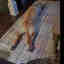 Photos des clients 2 de 2