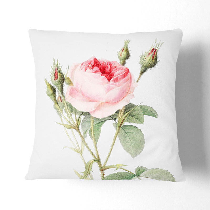 Moss by Pierre-Joseph Redoute Cushion with Filling, White, 55cm H x 55cm W x 20cm D