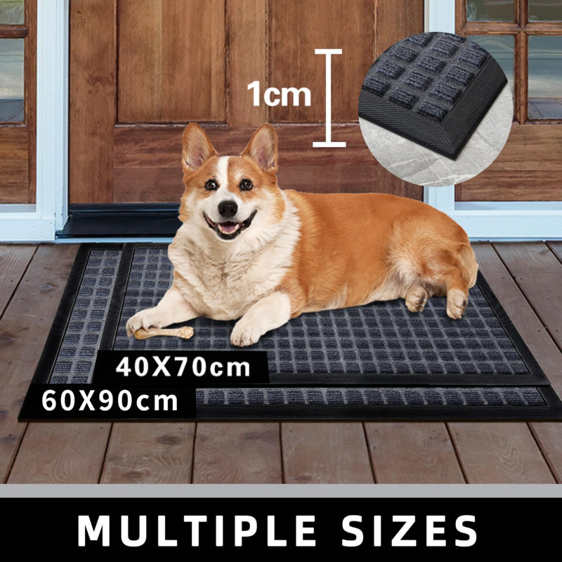Non-Slip Doormat