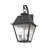 Arnetria 2 - Seeded Glass Outdoor Wall Lantern-22670247