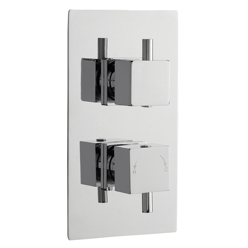 Ellingson Double Concealed Thermostatic Shower Valve