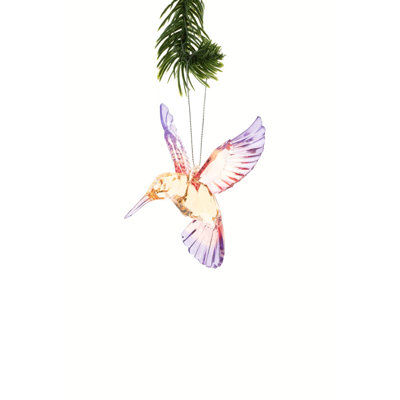 Ornement de colibri arc-en-ciel (paquet de 4)