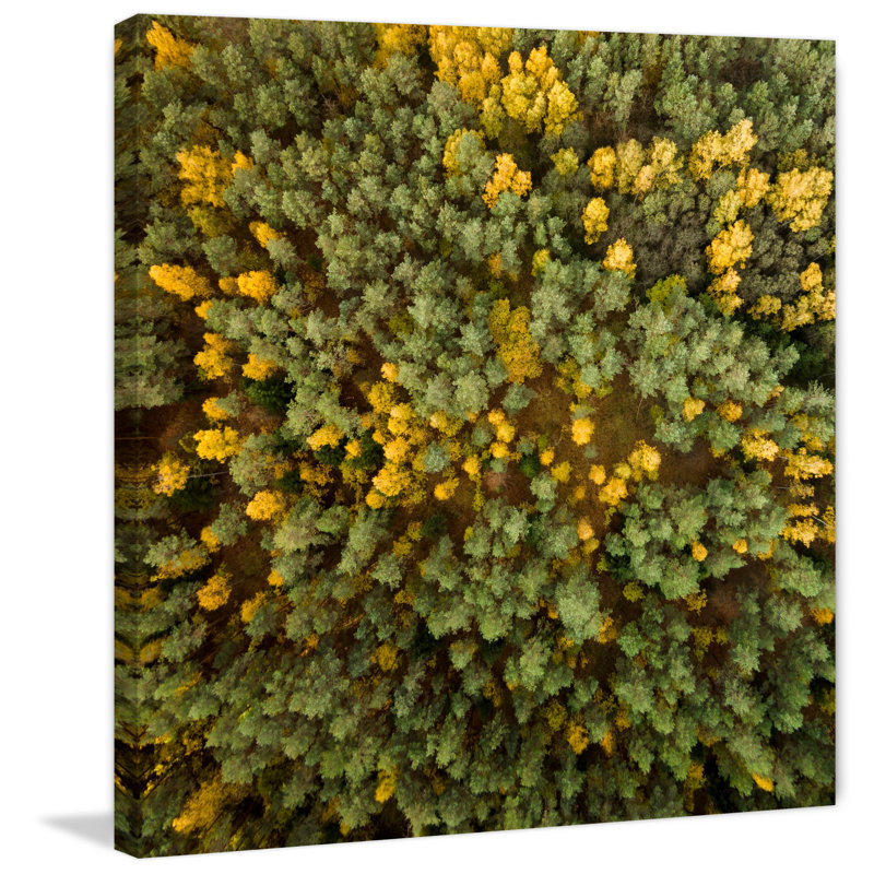 Karolis Janulis - Wrapped Canvas Print, 101 cm H x 101 cm W x 3.81 cm D