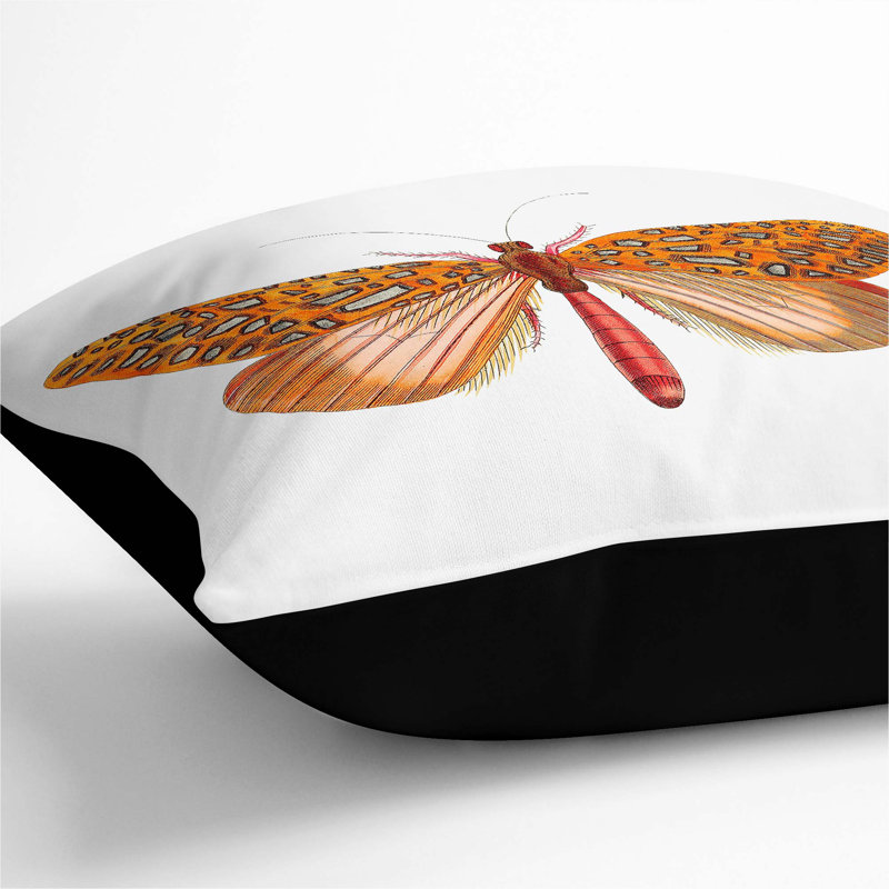 Venus Moth by George Shaw Cushion with Filling, 55cm H x 55cm W x 20cm D, Black