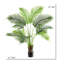 ARBRE DE PAUME 48 "PARADISE